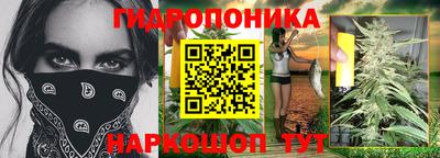 дмт Кинель