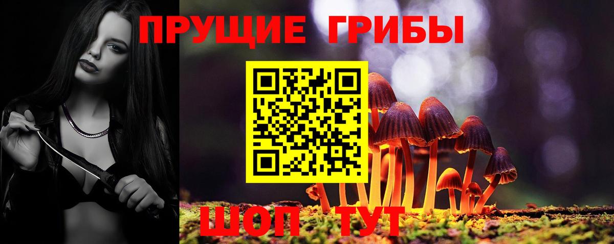 Галлюциногенные грибы прущие грибы  Вход с VPN  Шадринск 